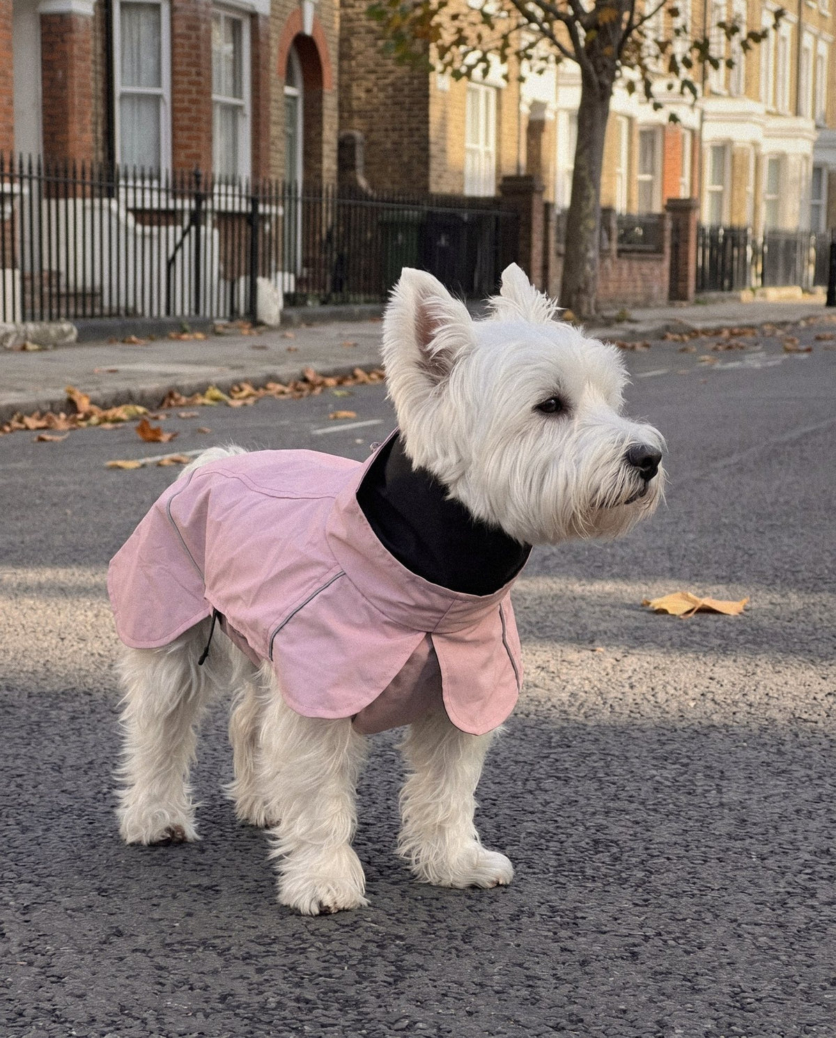 Pink Rain Jacket