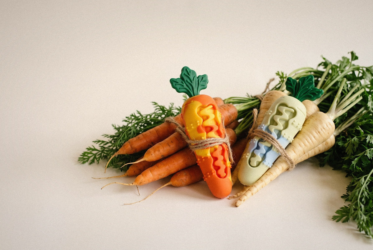 Carrot Chew Toy