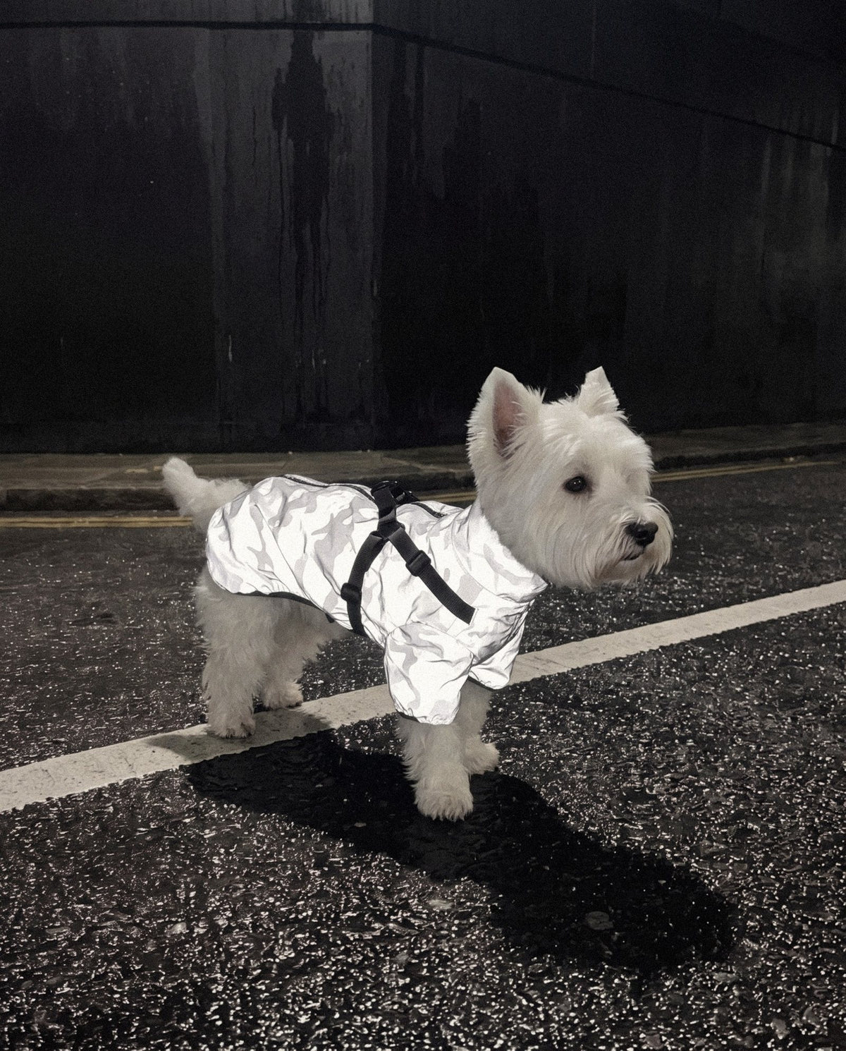 Reflective Camo Jacket