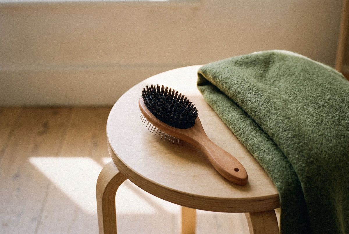 Double-Sided Brush