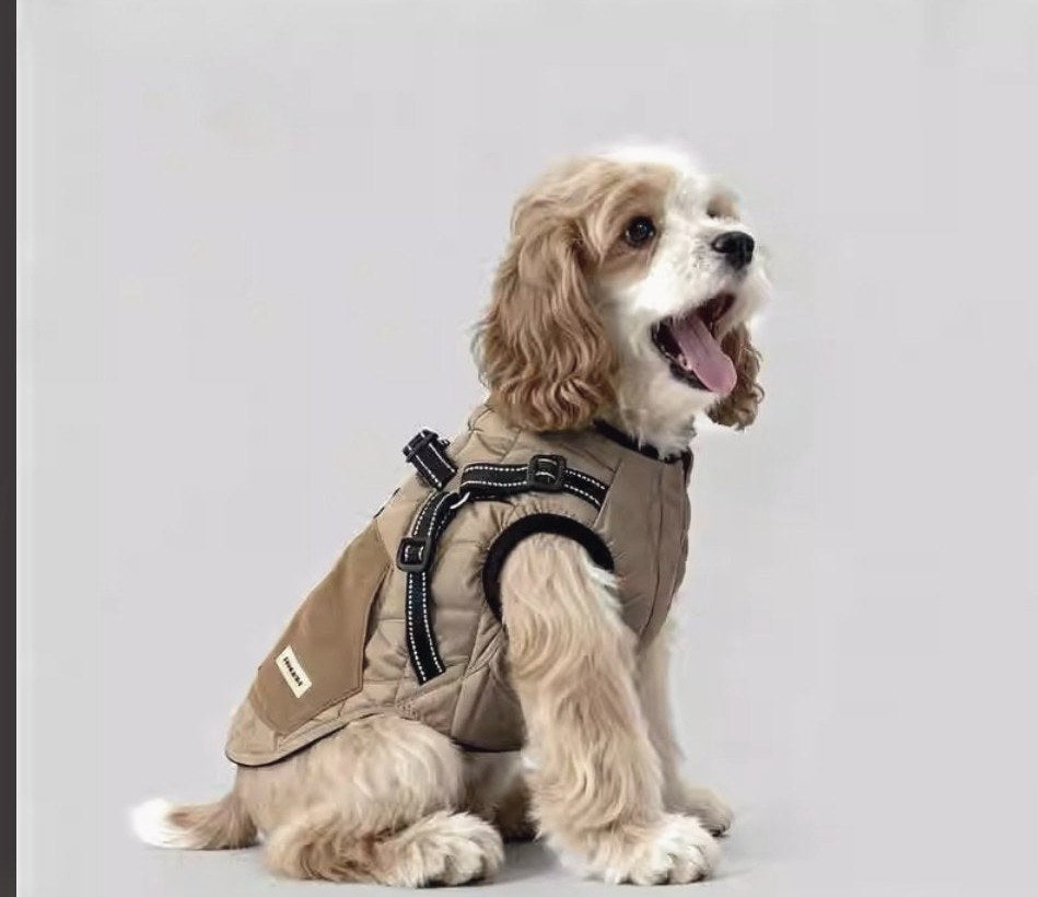 Harness Base Layer
