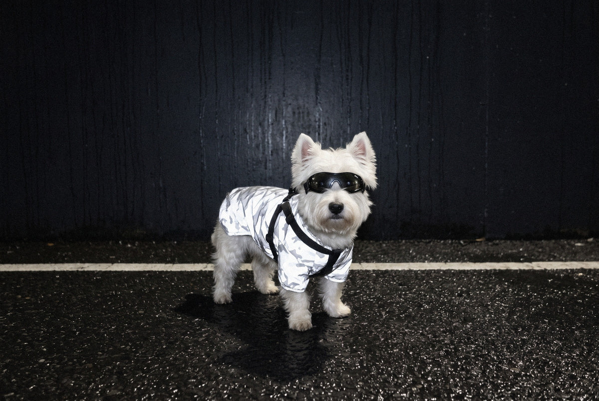 Reflective Camo Jacket