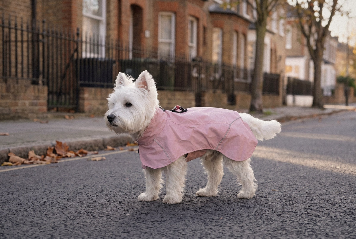 Pink Rain Jacket