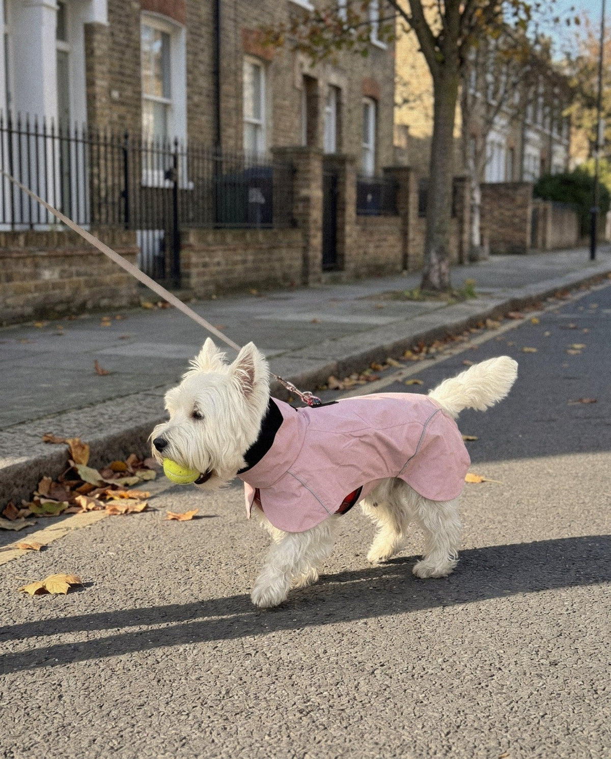 Pink Rain Jacket