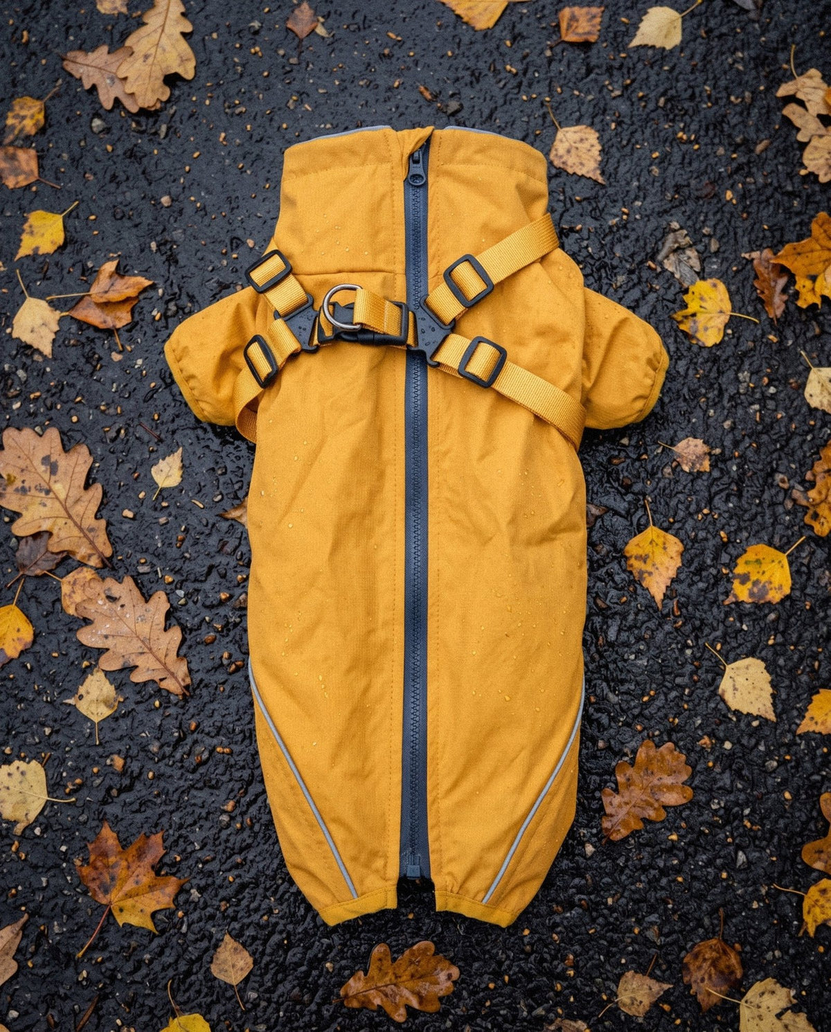 Yellow Rain Jacket