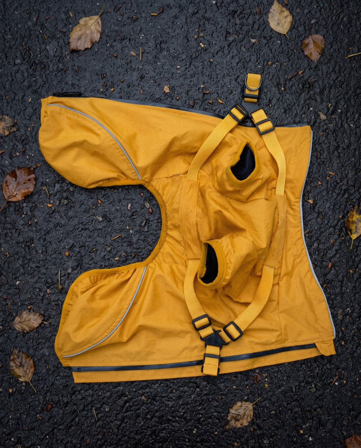 Yellow Rain Jacket
